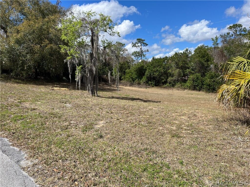 Property Photo:  420 Cabot Street  FL 34452 