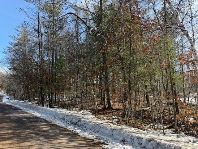 Property Photo:  0 Bashaw Trail  WI 54871 