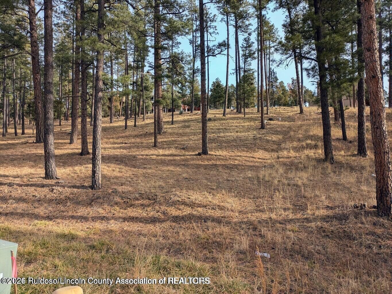 Property Photo:  322 White Mountain Meadows Drive  NM 88345 