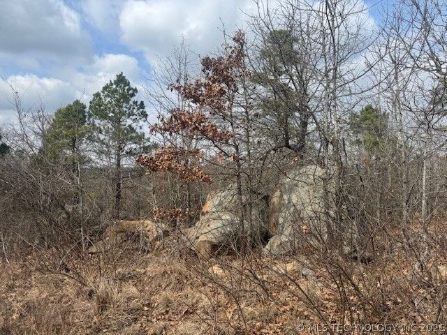 Property Photo:  E 1732 Road  OK 74536 