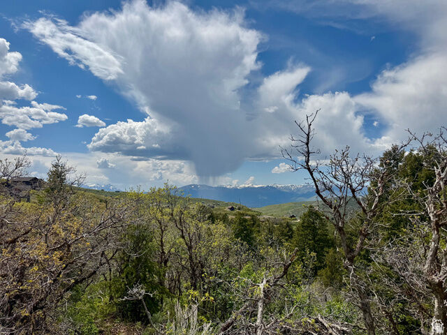 Property Photo:  9395 E Ridge Pine Rd 807  UT 84032 