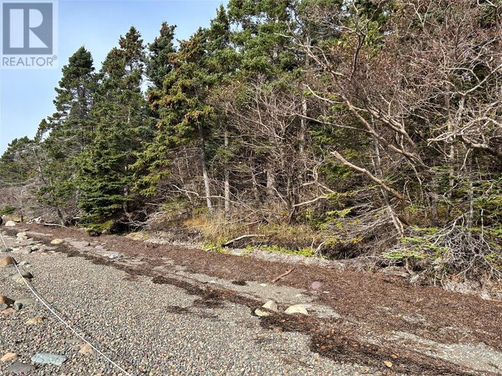 Property Photo:  Lot # 04 Smith Sound Road  NL A5A 3A1 