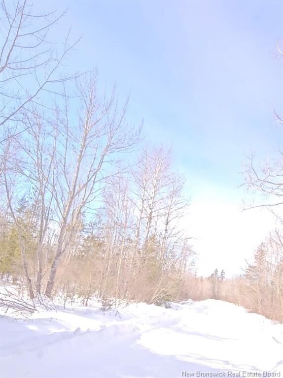 Property Photo:  Woodlots Gallant Settlement Cross Road  NB E4P 7M7 