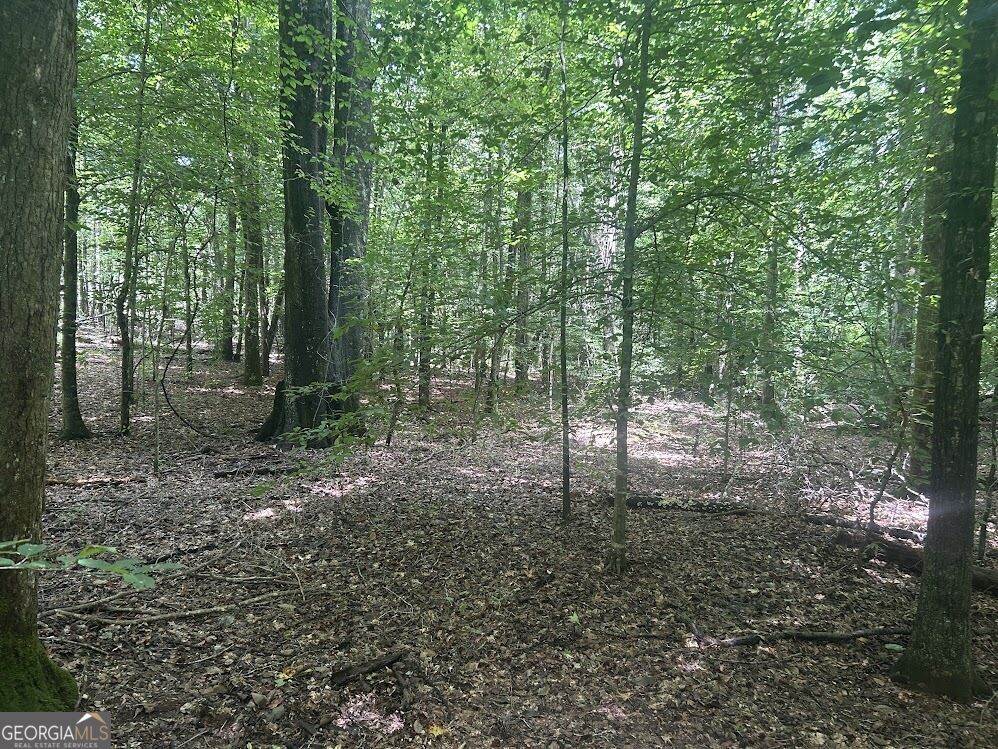 Property Photo: 111 Riversong (Tract 26) GA 30117