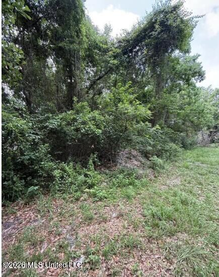 Property Photo: 0 N Wright Avenue MS 39560