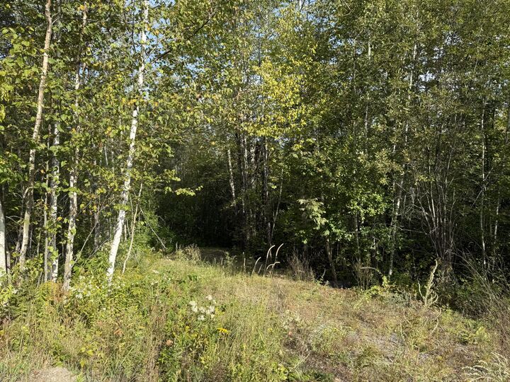 Property Photo:  1 And 11 Bowling Green Lane  ME 04915 