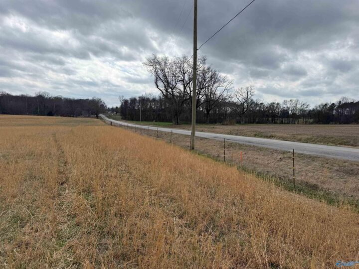 Property Photo:  Lot 1 Holt Road  AL 35613 