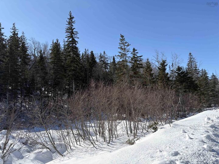 Property Photo:  0 Highway 19  NS B0E 1N0 