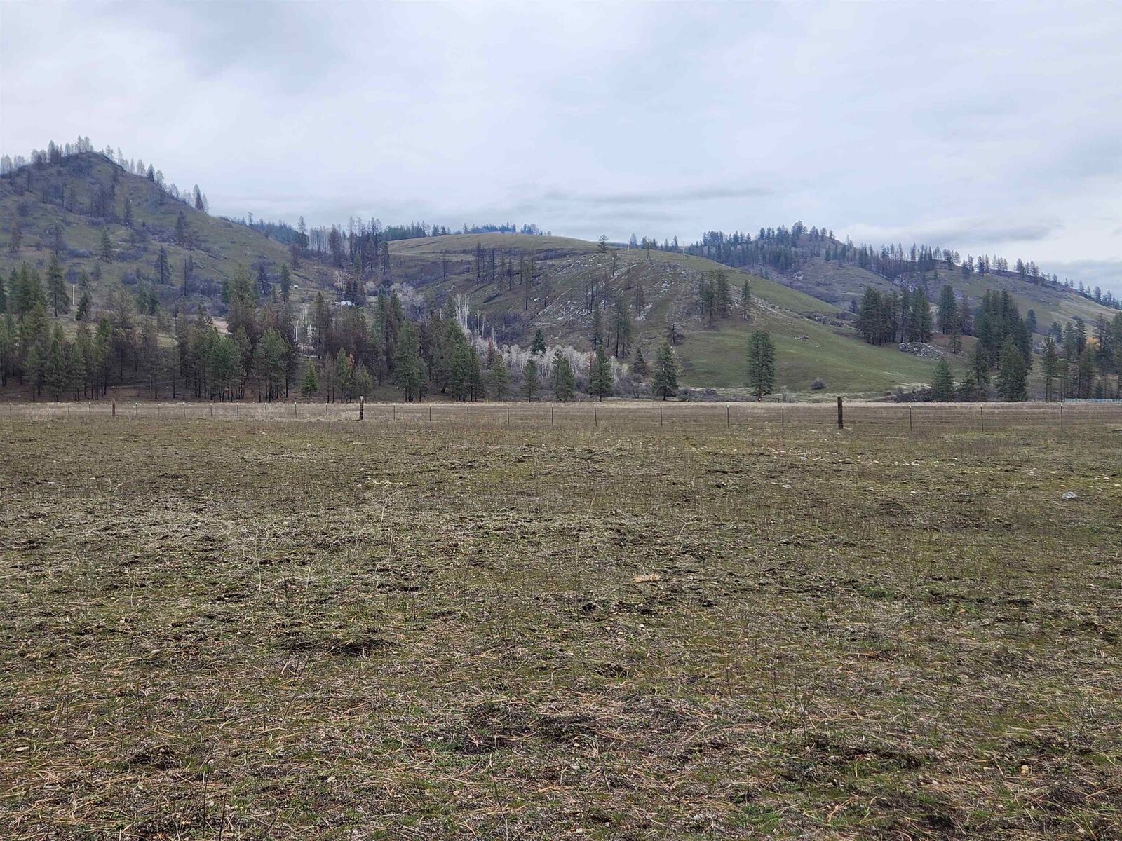 Property Photo: 34xx Northport Flat Creek Rd WA 99141-9999