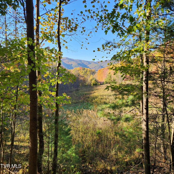 Property Photo:  129 Oaks Road  TN 37692 