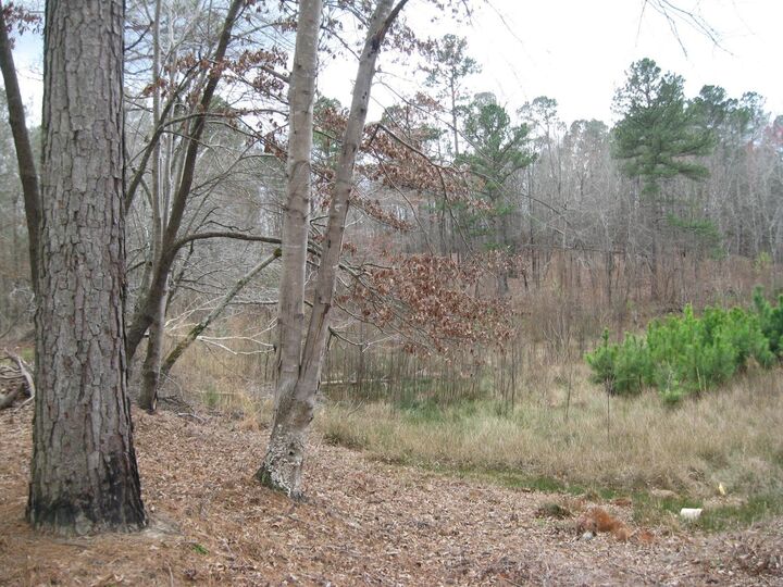 Property Photo:  0 Willow Springs Rd  AR 72206 