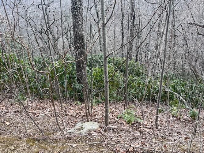 Property Photo:  11 Majestic Overlook Way 36  NC 28715 