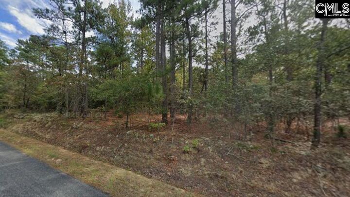 Property Photo:  116 Fawn  SC 29061 