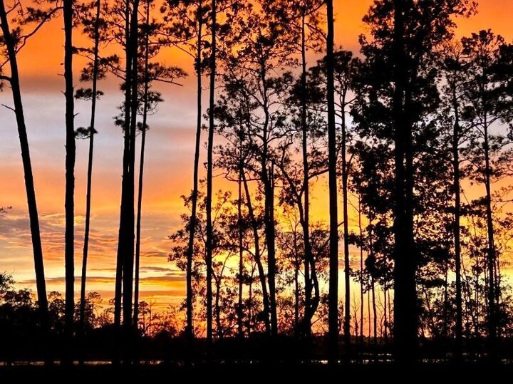 Property Photo:  137 Ryan Nicholas Drive  GA 31548 