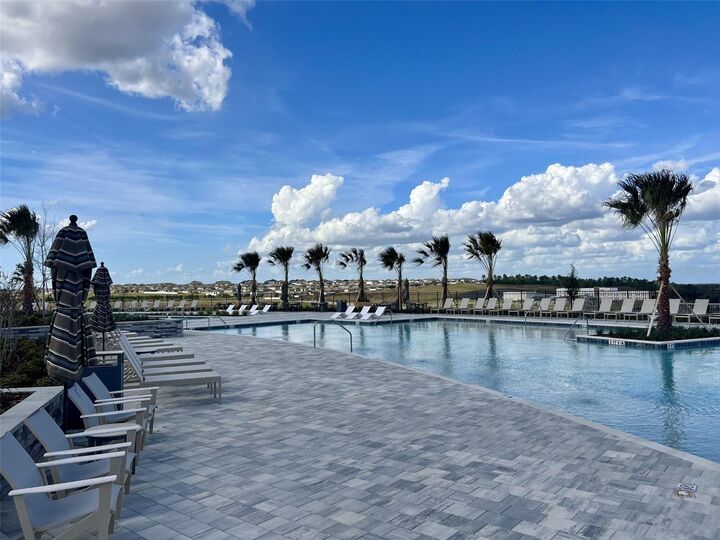 Property Photo:  2416 Juniper Berry Drive  FL 34715 