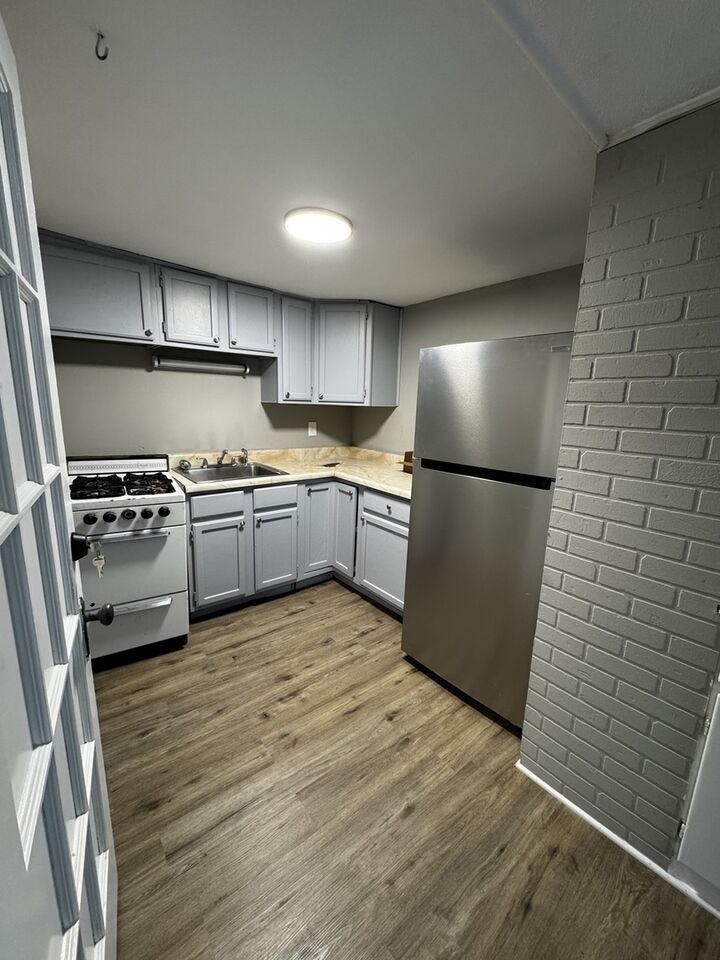 Property Photo:  1488 E Thacker Street 2  IL 60016 