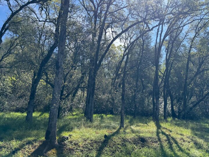 Property Photo: 1001 Old Airport Road CA 95603