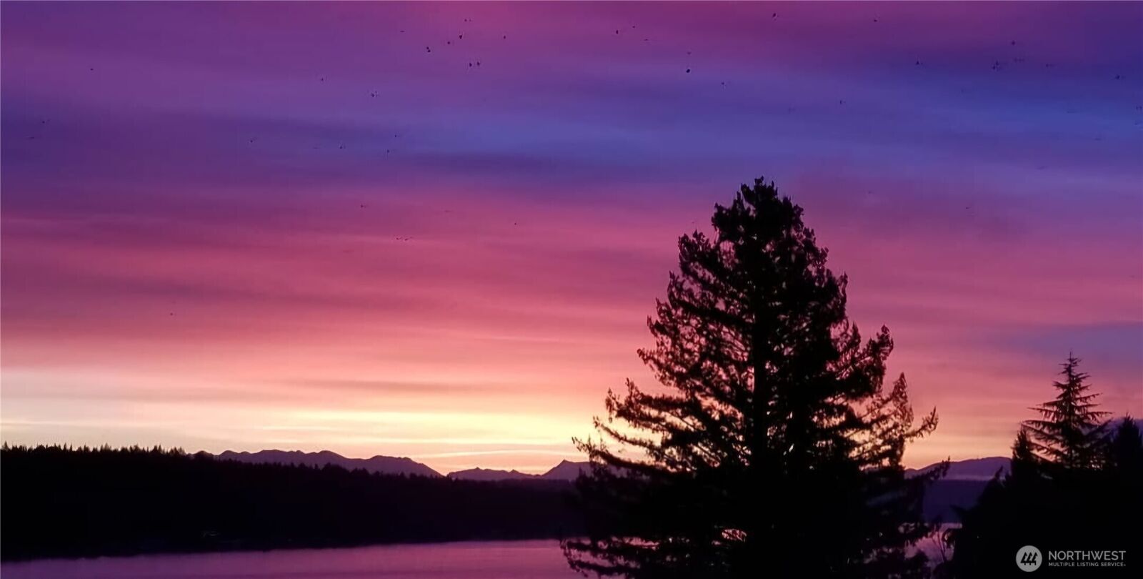 Property Photo:  12725  42nd Avenue NE  WA 98125 