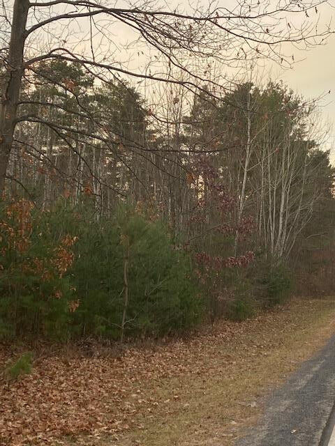 Property Photo:  00 Calkins Road  NY 12972 