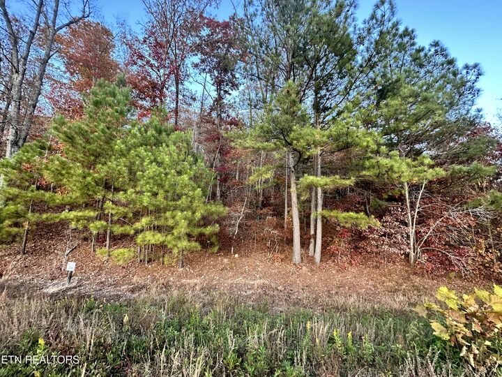 Property Photo: 726 Twin Lks Drive TN 37774