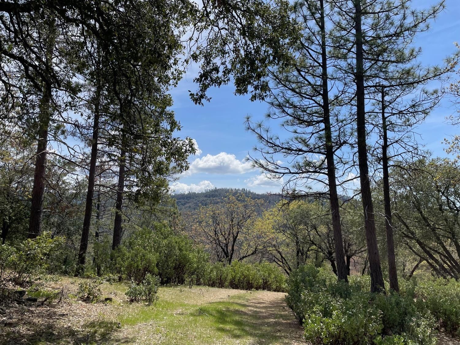 Property Photo:  0 Armstrong Road  CA 95246 