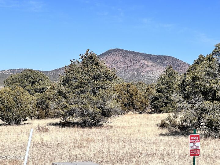 Property Photo:  7223 Daisy Drive  AZ 86046 