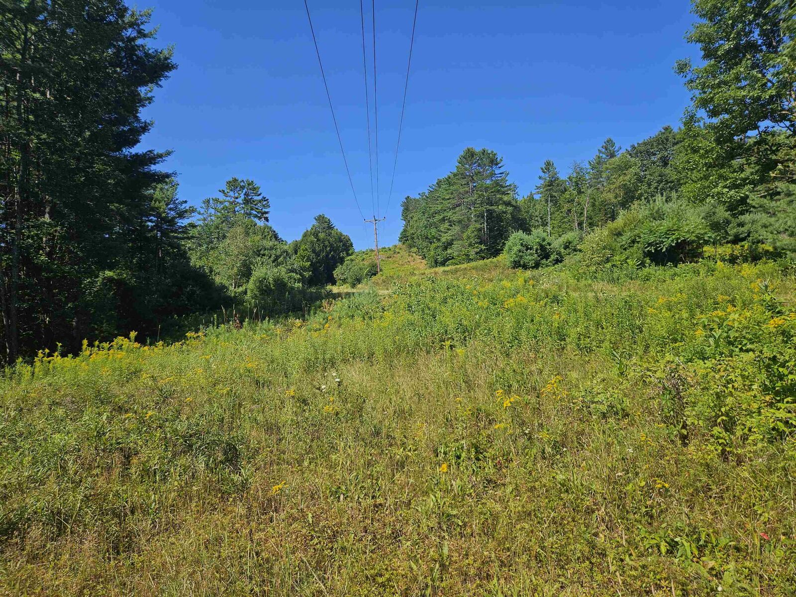 Property Photo:  Lot 3.1 Off Parker Road  NH 03585 