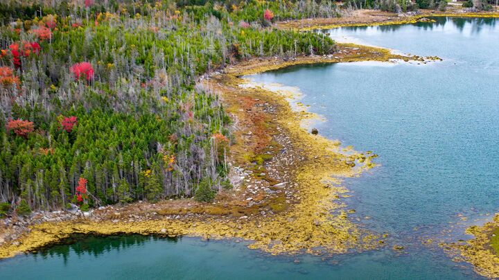 Property Photo:  Grant 22407 Sober Island Road  NS B0J 3B0 