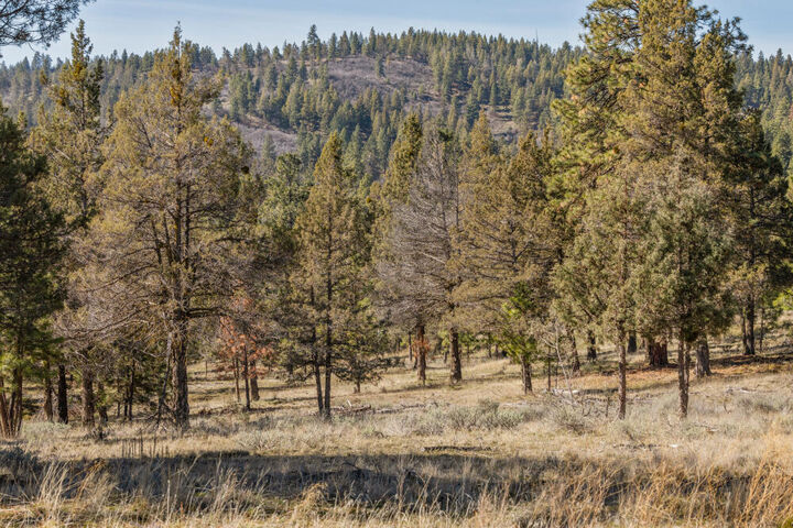 Property Photo:  5768 Engleman Spruce Way  OR 97601 