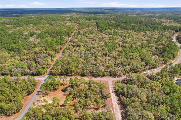 Property Photo:  8987 N Alameda Drive  FL 34434 