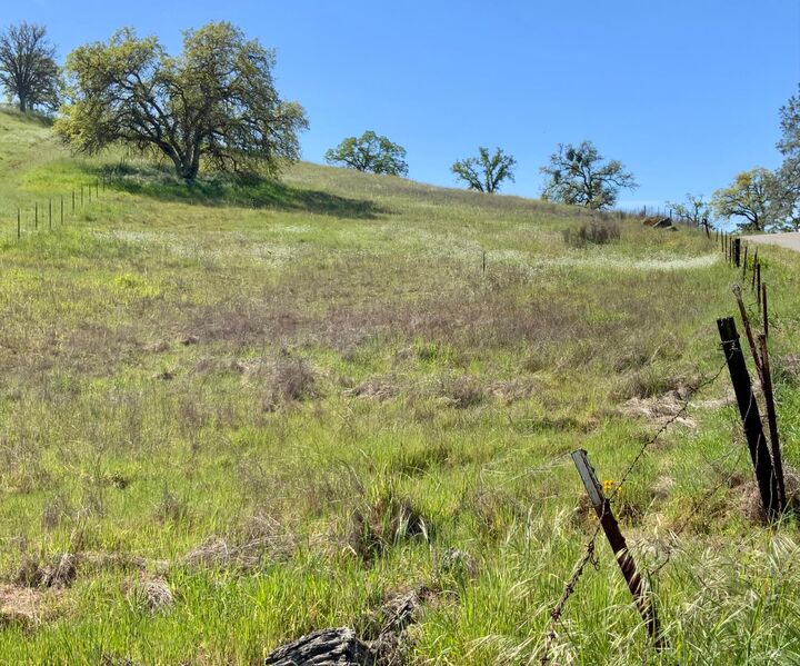 Property Photo:  2 1.64 Ac Rd. 400  CA 93636 