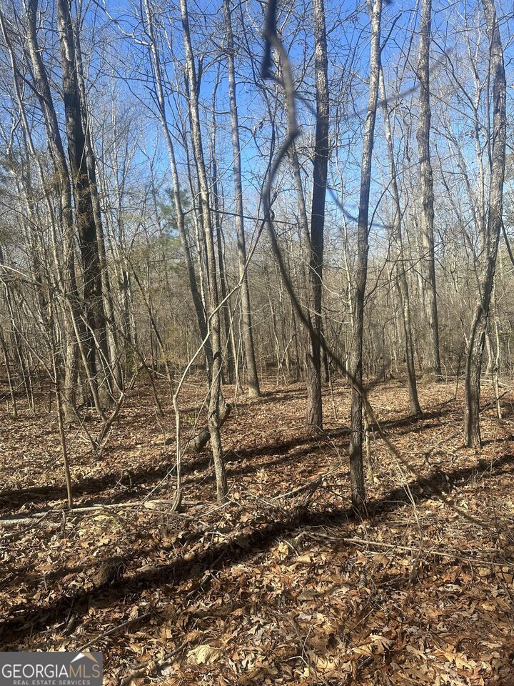 Property Photo:  0 Summit View Road  GA 30233 