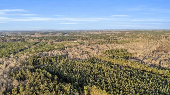 Property Photo:  1190 Buster Vaughn  MS 39744 