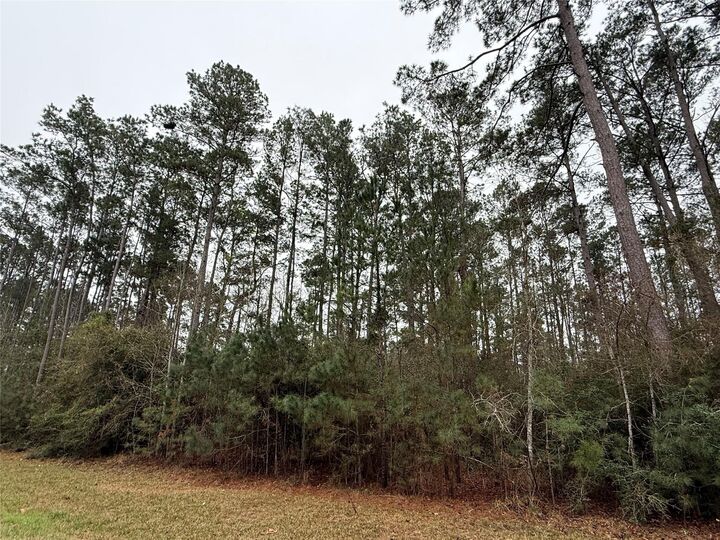 Property Photo:  10213 S Autumn Leaf Circle  TX 77354 