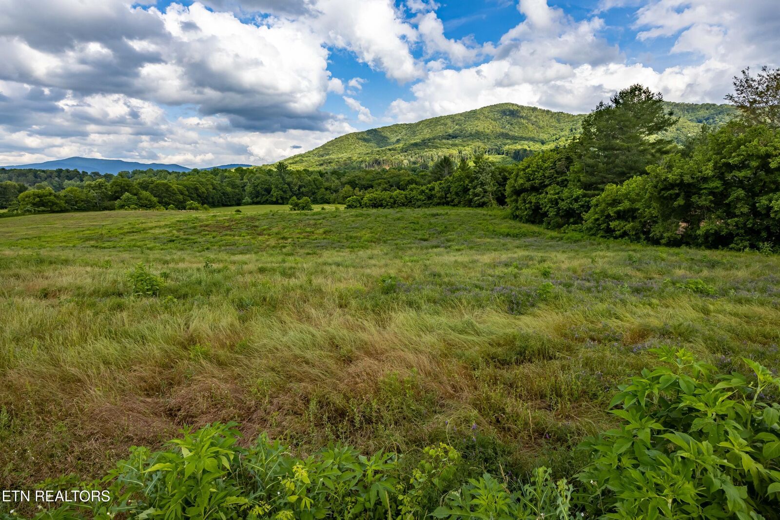 Property Photo:  Lot 3R2 Holders Grove Rd  TN 37722 