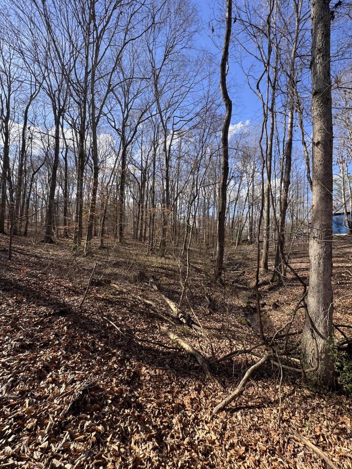 Property Photo: 26 Arrowhead Lane KY 42629