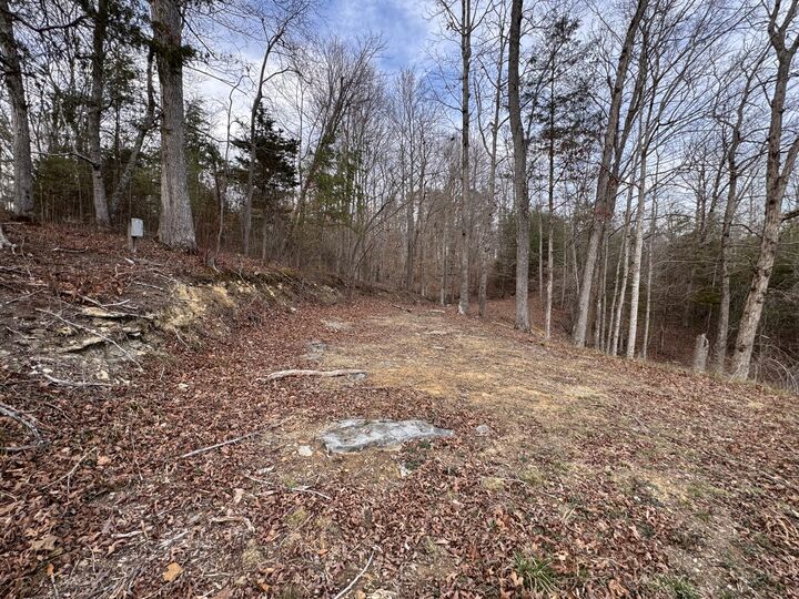 Property Photo:  27 Lazy Trail Road  KY 42544 