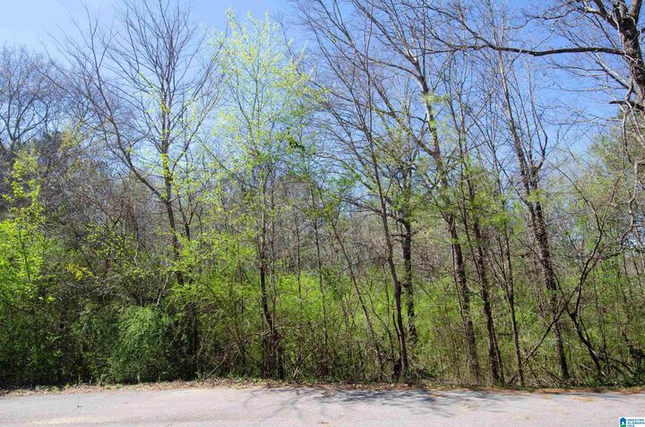 Property Photo:  0 Howard Circle 0  AL 35096 