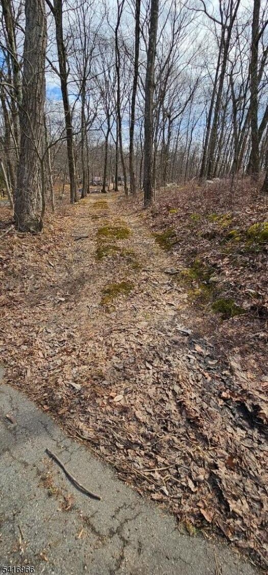 Property Photo: 0 Upper Hibernia Rd NJ 07866