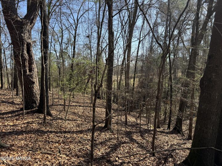 Property Photo:  1978 Wood Valley Road  GA 31211 