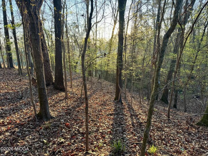 Property Photo:  1978 Wood Valley Road  GA 31211 