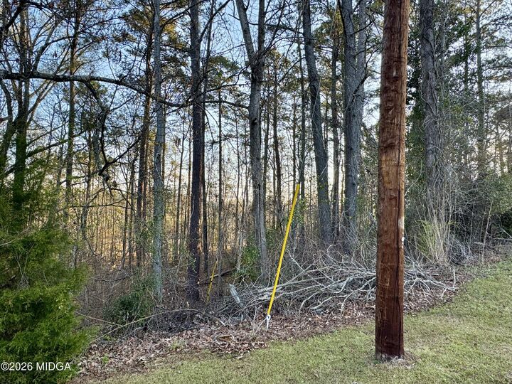 Property Photo: 1954 Wood Valley Road GA 31211