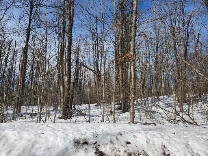 Property Photo:  Valleyridge Circle  MI 49611 