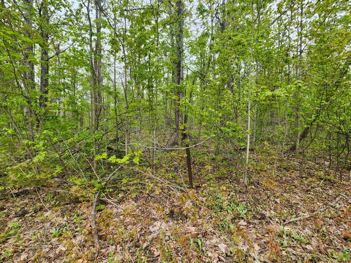 Property Photo: Valleyridge Circle MI 49611