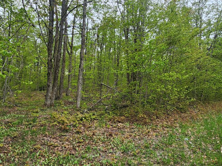 Property Photo:  Valleyridge Circle  MI 49611 
