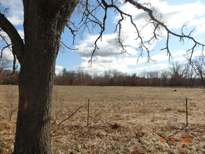 Property Photo:  550 S Oak Avenue  MI 49349 