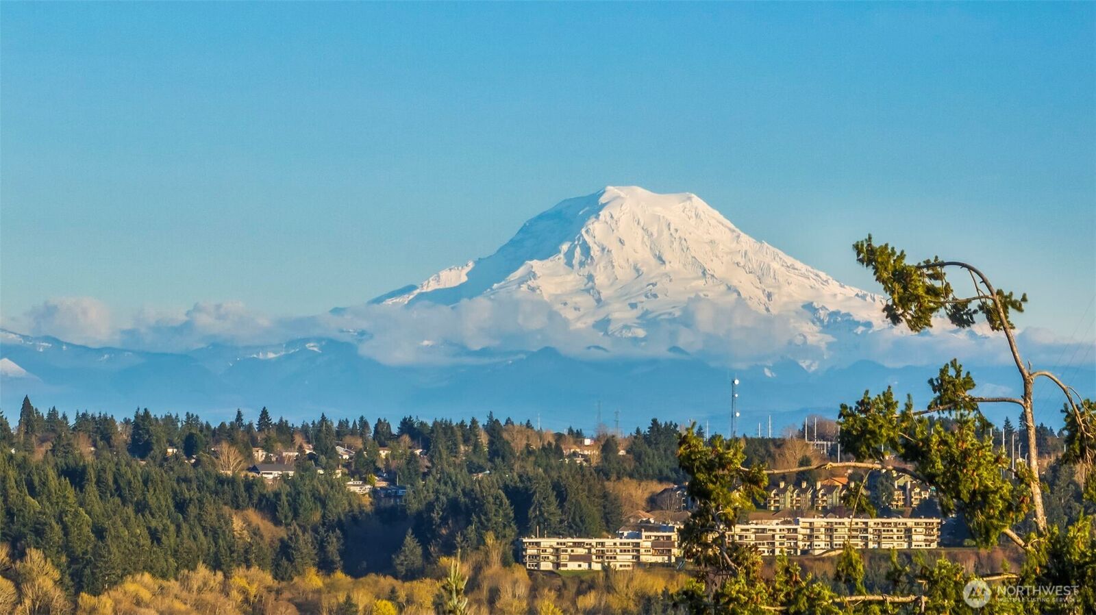 Property Photo:  3323  9th Avenue Ct NW  WA 98335 