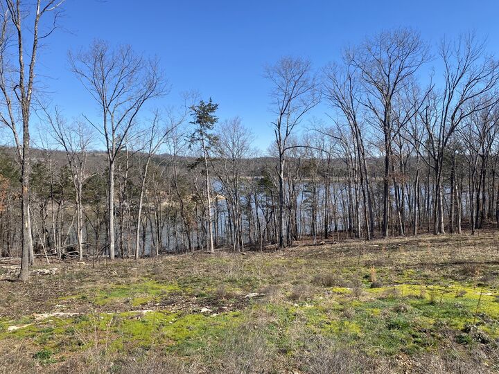 Property Photo: 000 Wooley Creek Road MO 65624