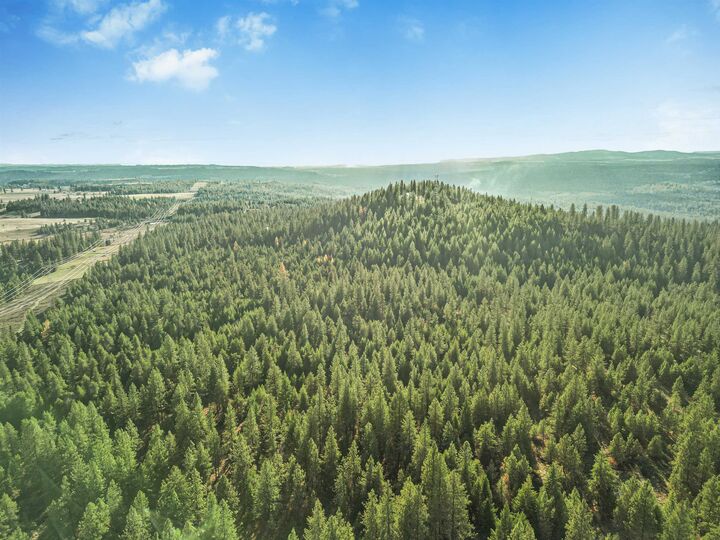 Property Photo:  Xxx N Waldrons Ln  WA 99003 