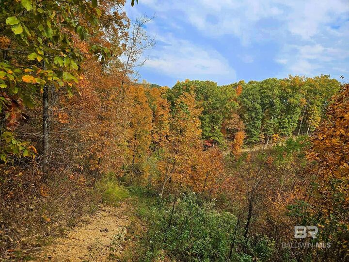 Property Photo:  0 County Road 79  AL 36577 